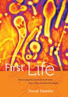 First Life Discovering the Connections between Stars, Cells, and How Life Began